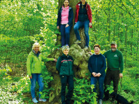 Märchenwald Rothemühl